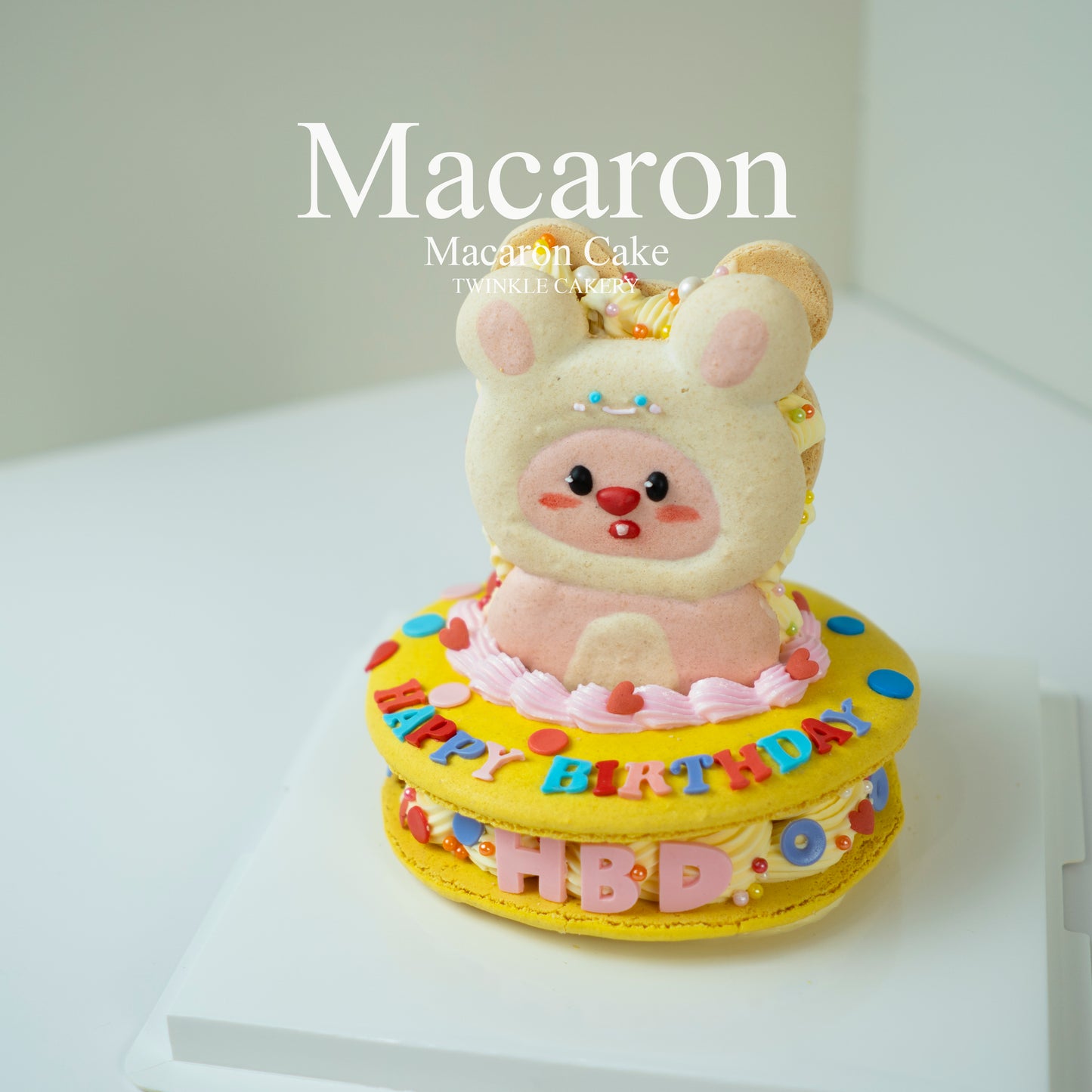 Macaron Cake