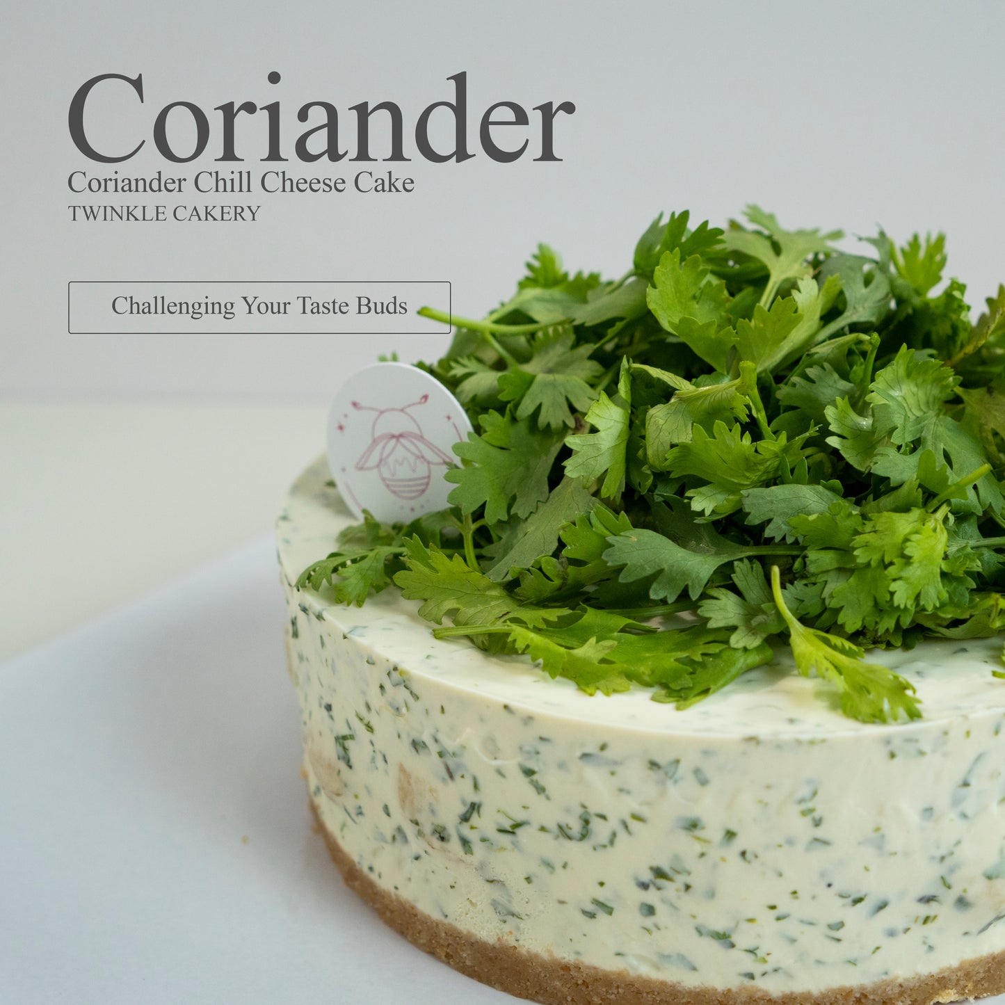 Coriander Chill Cheese Cake