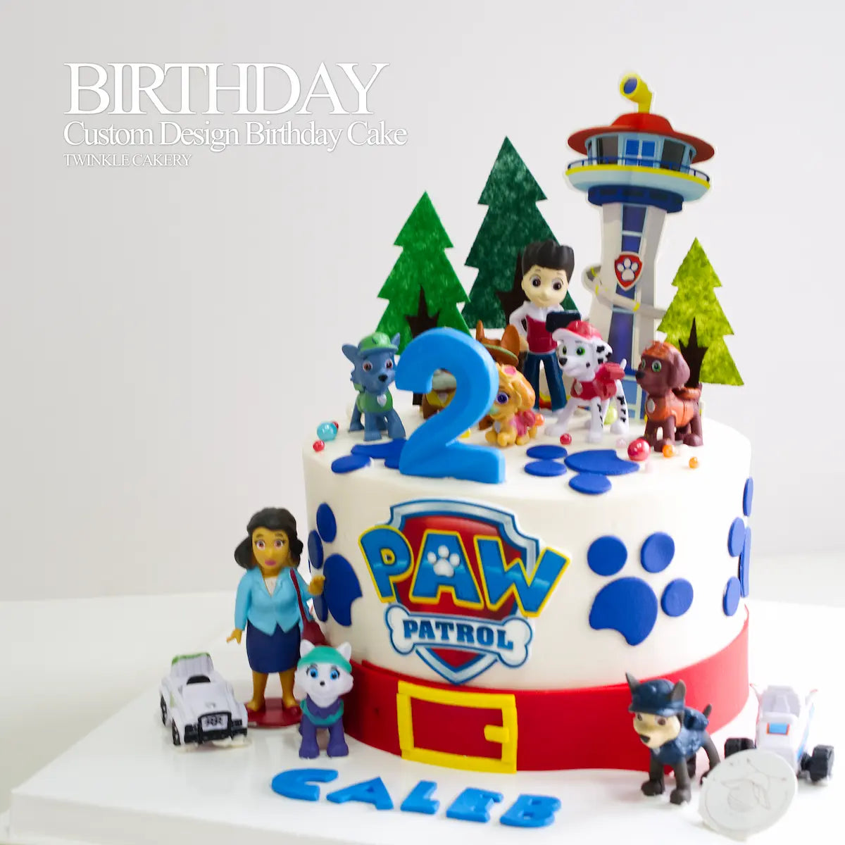 Close-up of the official Paw Patrol sugar printed logo on birthday cake - kuala lumpur