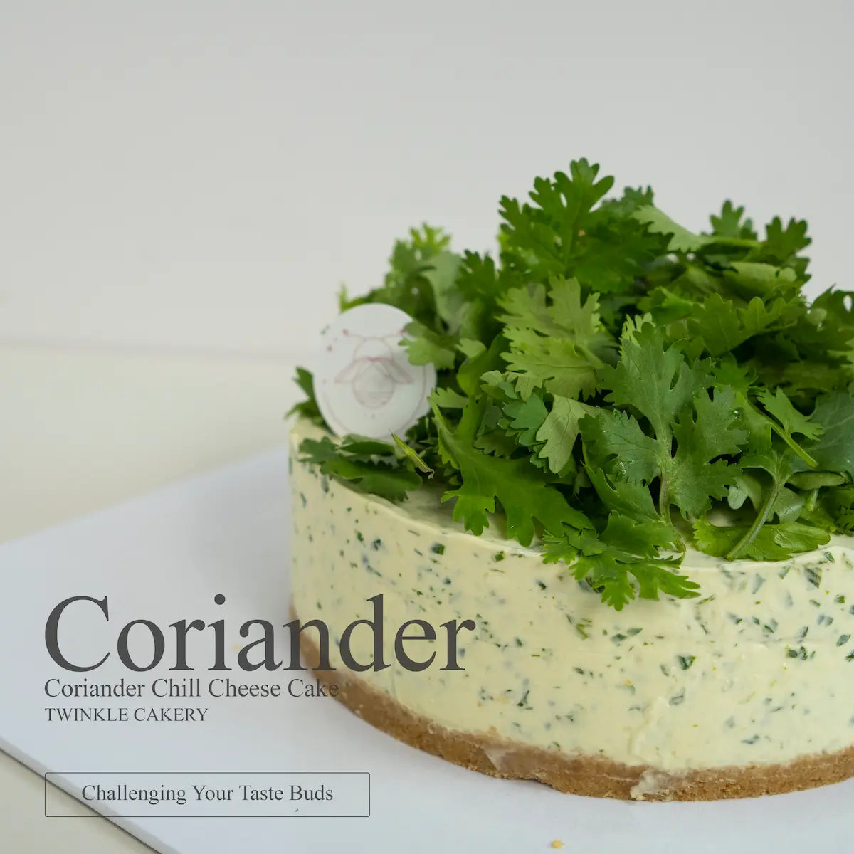 Close up look at a smooth green infused coriander cream cheese cake layer with a buttery biscuit base.