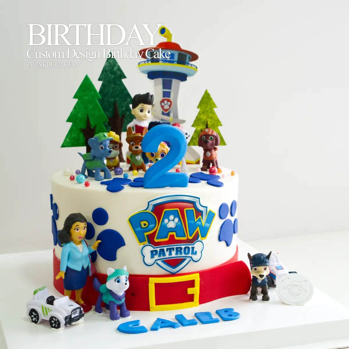 All Paw Patrol pup figures (Chase, Skye, Marshall) surrounding the birthday cake - kids party cake in Selangor